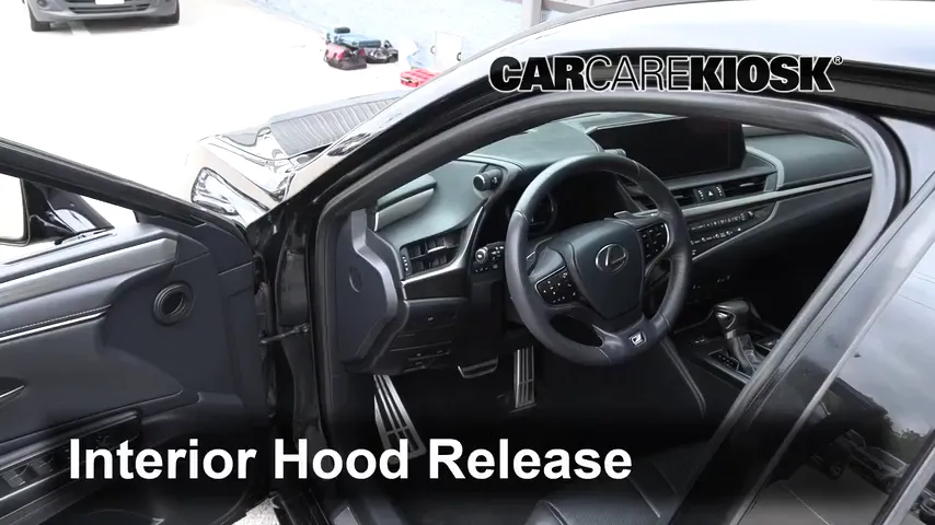 2019 Lexus ES350 F Sport 3.5L V6 Hood